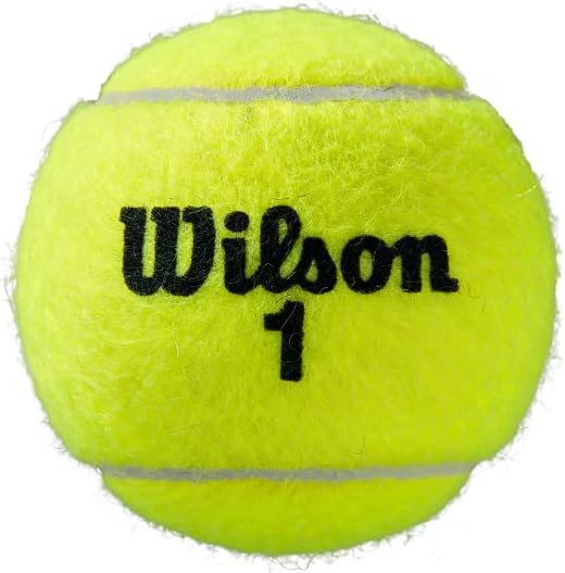 51blfq9CGGL._AC_SL1200_ Review: Bola de Tênis Wilson Roland Garros All Court – Durabilidade e Performance em Qualquer Superfície